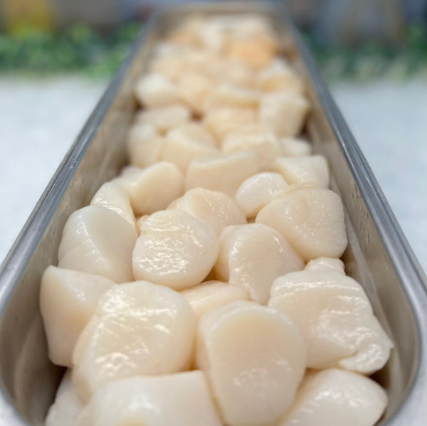 Sea Scallops