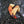 Load image into Gallery viewer, N.C. Stone Crab Claws
