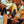 Load image into Gallery viewer, N.C. Stone Crab Claws
