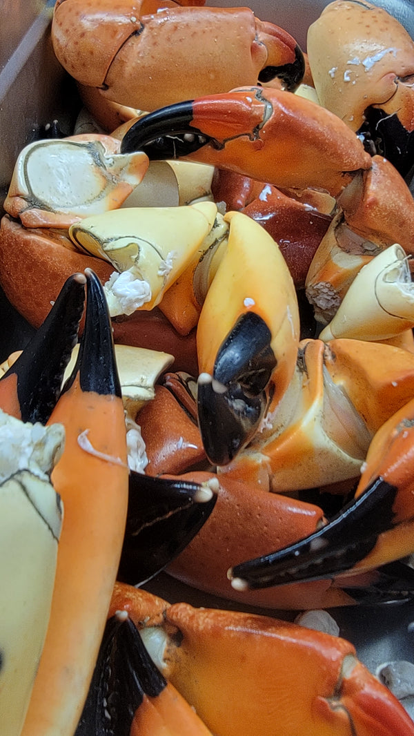 N.C. Stone Crab Claws