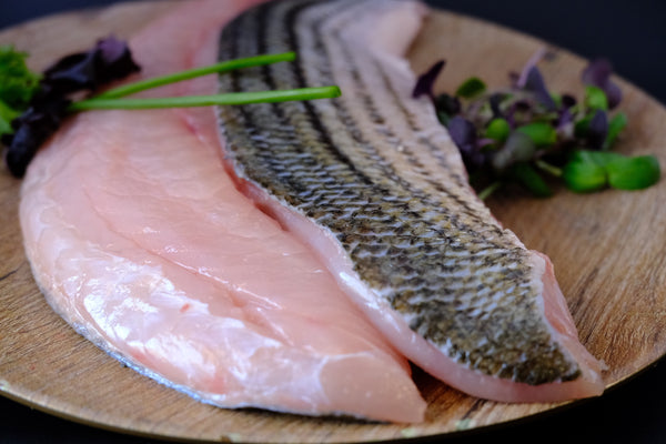 Fresh Wild Striped Bass Filet (A.K.A. Rockfish)